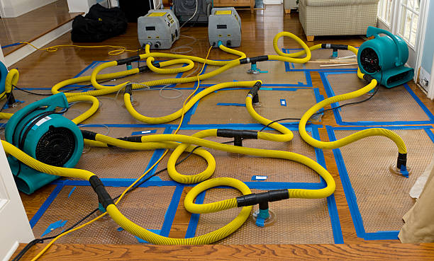 Professional Water Damage Restoration technician working in Felton, CA